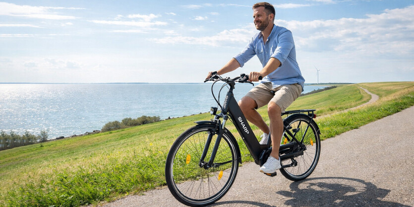 Sharp BK-ED04-EB Elektrische Fiets